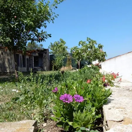 Casa Ventitre Holiday home Marina di Campo